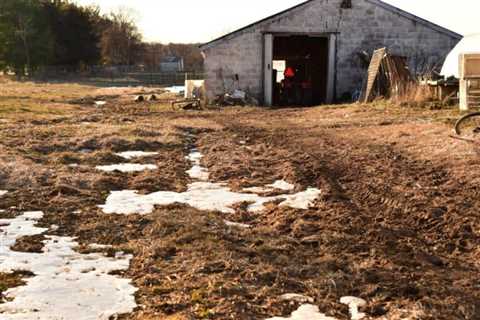Living Off the Grid with No Money: Can You Do It?