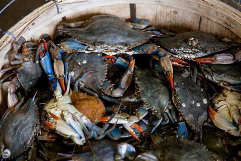 14 Tips for Your Waterproof Disaster Food Bucket