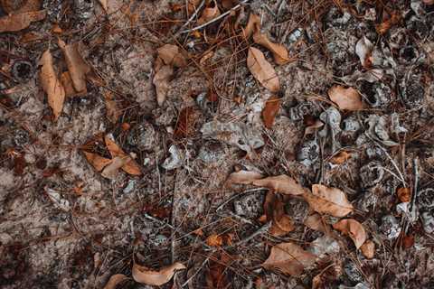 Top 3 Freeze-Dried Meals for Emergency Preparedness