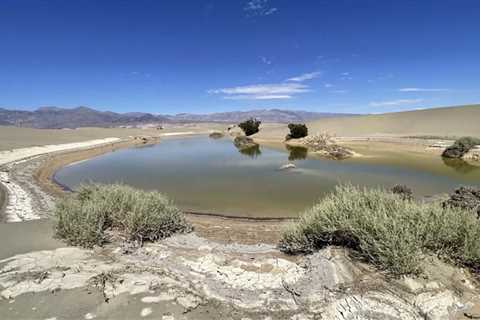 A Large Part of Death Valley National Park Will Reopen in Time for Christmas