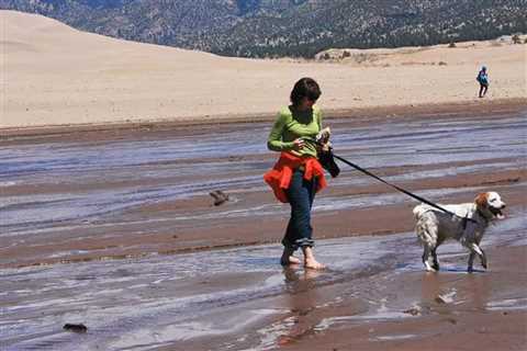 A Beach for Giants: What’s Special About Great Sand Dunes National Park, and Why Dogs Love It