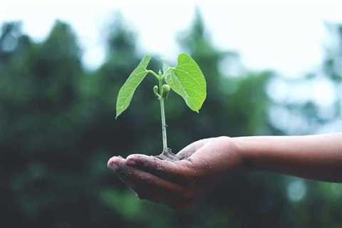 3 Essential Soil Prep Tips for Emergency Gardening