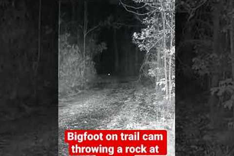 Bigfoot on Trail Camera Throwing a Rock at a Skunk! | Squatch Watchers Short Rewind