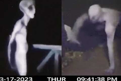 Freaky Alien Encounters That Can''t Go Unnoticed
