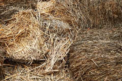 What Are the Best Grain Storage Strategies?