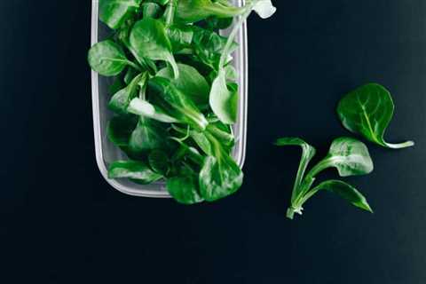 3 Best Practices for Dry Emergency Food Preservation