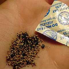 How To Use Oxygen Absorbers for Long Term Food Storage