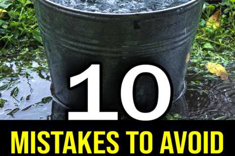 10 Mistakes To Avoid When Collecting Rainwater