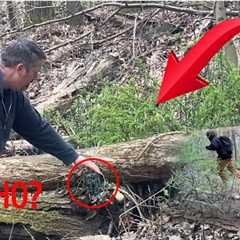 YOU WONT BELIEVE WHAT WE SAW ON OUR TRAIL CAM!