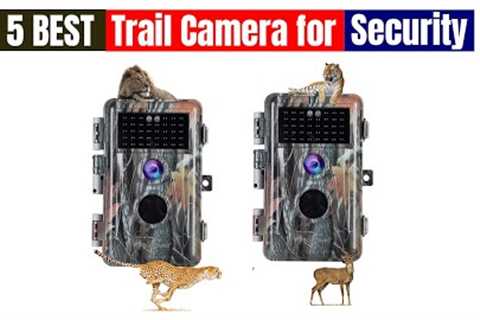 Best Trail Camera for Security of 2024 [Updated]