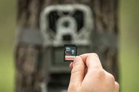 Avoid These 5 SD Card Trail Camera Mistakes