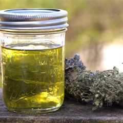 Making Usnea Oil: A Functional Friend for Field and Hearth