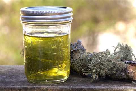 Making Usnea Oil: A Functional Friend for Field and Hearth