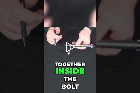 Tikka T3x Bolt Handle Insights