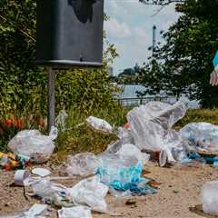 National Park Authorities Issue Warning After Common But Serious Finding