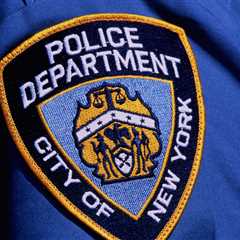 New York City Police Engage In Rare Rescue As They Save A Bald Eagle