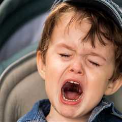 Toddler Is Injured After Sticking His Hand Into A Wolf Enclosure At Zoo