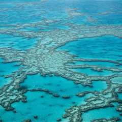 Scientists Discuss Tactics To Save Coral Reefs From Heat Waves