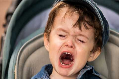 Toddler Is Injured After Sticking His Hand Into A Wolf Enclosure At Zoo